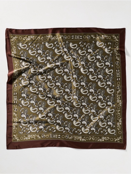 Anthropologie Accessories - New! Anthropologie Paisley Olive 28" Hair Neck Bag Scarf NWT